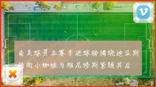 南美球员本赛季进球榜揭晓迪亚斯领衔小蜘蛛与维尼修斯紧随其后