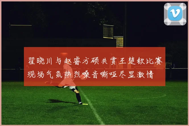 翟晓川与赵睿方硕共赏王楚钦比赛现场气氛热烈嗓音嘶哑尽显激情